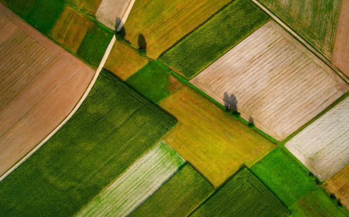Farm fields
