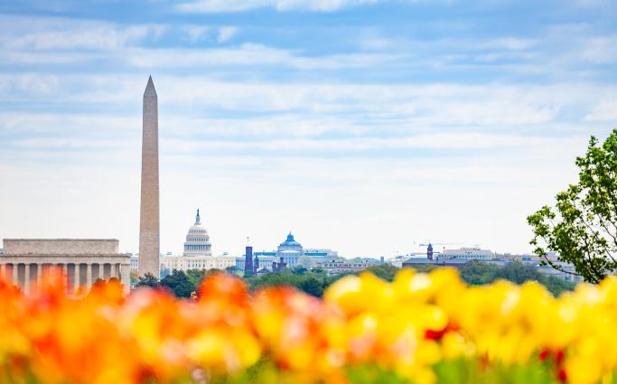 Washington Monument and Capitol