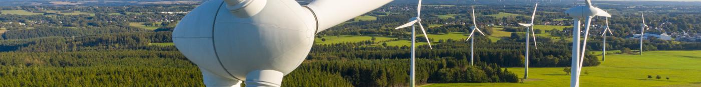 Renewable Energy