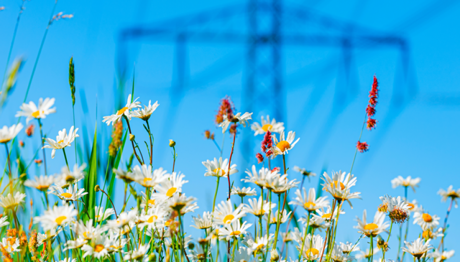 Article: Energy & Infrastructure Insight: Power Generation