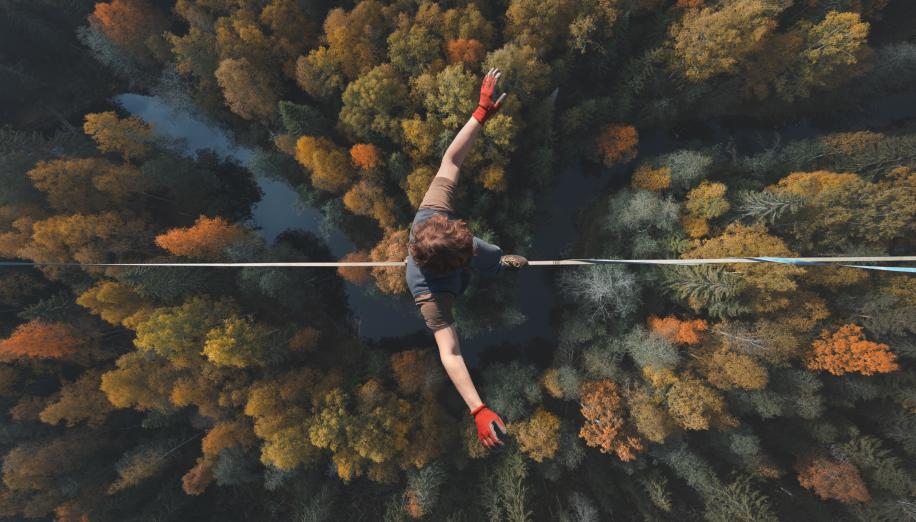 Article: A Tightrope of High Expectations
