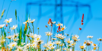 Article: Energy & Infrastructure Insight: Power Generation