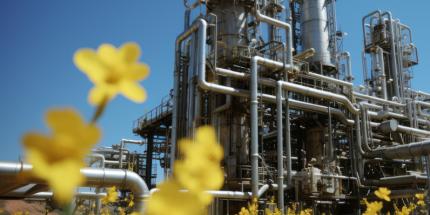 Article: Energy & Infrastructure Insight: Natural Gas