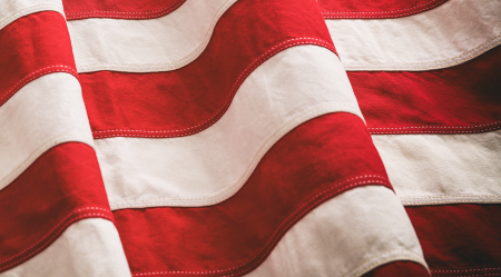 Article: 5 Investor Takeaways: Red Wave Paves the Way for Economic Protectionism 