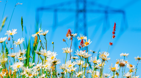 Article: Energy & Infrastructure Insight: Power Generation